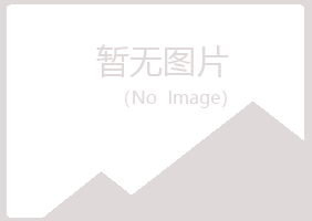 鹤山区曹培艺术有限公司